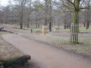 Part of the wonderful yellow gravel path.