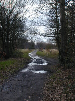 Wimbledon common, heading south